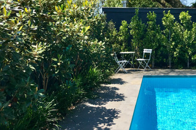 Modelo de piscina natural contemporánea de tamaño medio rectangular en patio trasero con adoquines de piedra natural