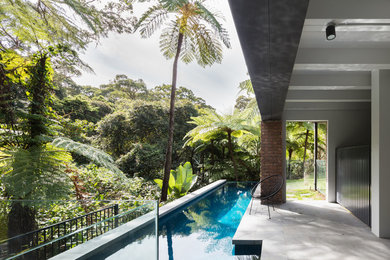 Inspiration for a contemporary swimming pool in Sydney.