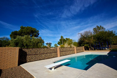 Example of a large mid-century modern backyard concrete and custom-shaped pool design in Phoenix