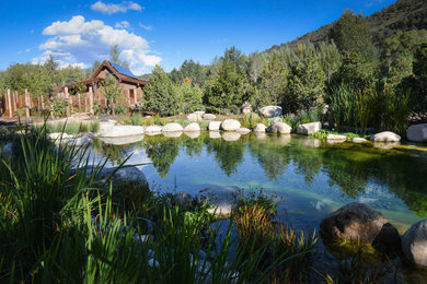 Example of a tuscan side yard stone and custom-shaped natural pool fountain design in Denver