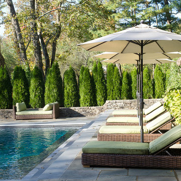 Chairs in Line by the Pool