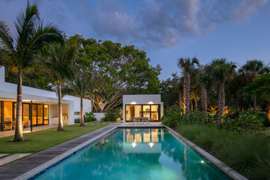 Pool - modern pool idea in Tampa