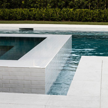 Chic Modern Swimming Pool and Garden