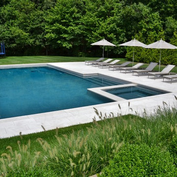 Clean and Modern Swimming Pool with Spa