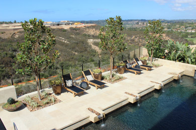 Pool landscaping - modern backyard stone pool landscaping idea