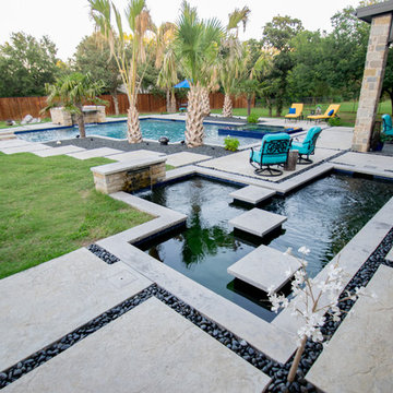 Colleyville Contemporary Pool and Koi Pond