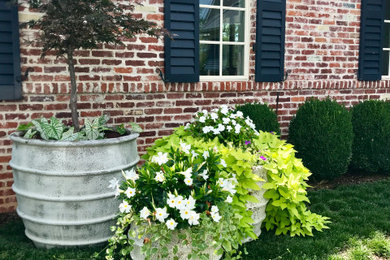 Container Plantings: Classic Spring and Summer