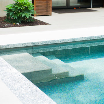 Contemporary Backyard Pool