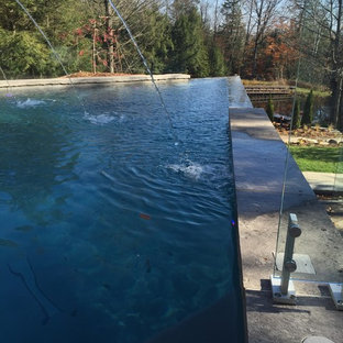 Ispirazione per una grande piscina a sfioro infinito minimal personalizzata dietro casa con fontane e pedane