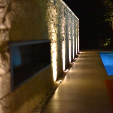Contemporary in the Woods
