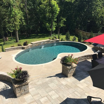 Contemporary Lee's Summit Pool with Water Features