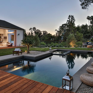 Immagine di una piscina monocorsia minimal personalizzata dietro casa con una vasca idromassaggio e pedane