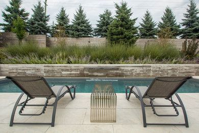 Inspiration for a mid-sized contemporary backyard concrete and rectangular lap pool remodel in Toronto