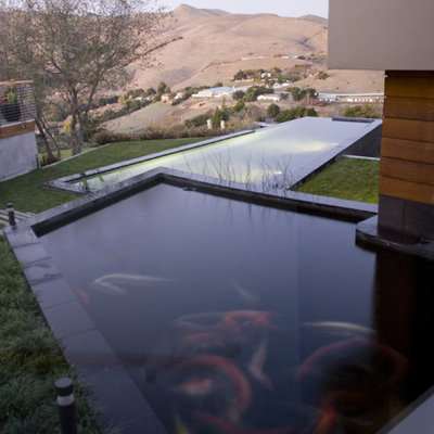 Inspiration for a contemporary infinity pool remodel in San Francisco