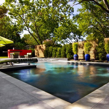 Contemporary Pool