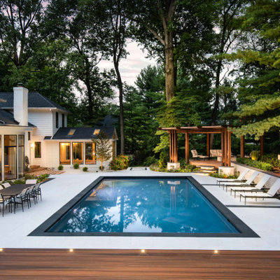 Pool - contemporary rectangular pool idea in DC Metro