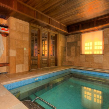 Content Indoor Swim Spa with Beautiful Tile Mural