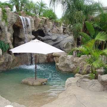 Corona Custom Rock Pool With Cave