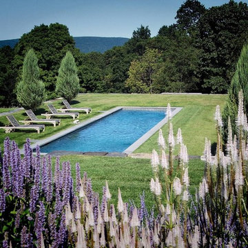 COUNTRY: simple rectangular swimming pool + grass surround