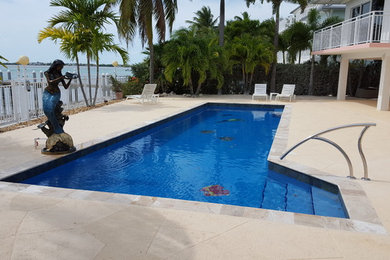 Idee per una piscina naturale chic rettangolare di medie dimensioni e dietro casa con fontane e lastre di cemento