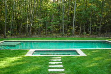 Pool fountain - large traditional courtyard concrete paver and custom-shaped natural pool fountain idea in Grand Rapids