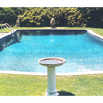 Custom Backyard Pool Portfolio