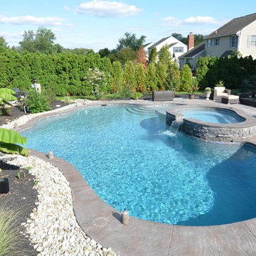 Custom Freeform style salt water inground pool with Raised Spa