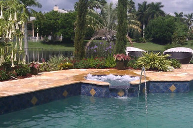 Modelo de piscina natural grande a medida en patio trasero