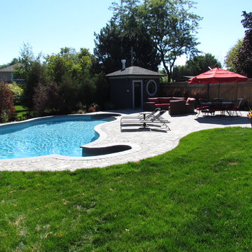 Custom Pool - West Oakville