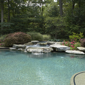 Customized Pool Designs & Pool Decks