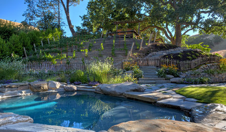 Natural Boulders Enhance 4 Standout Landscape Designs