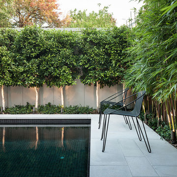 DDB DESIGN Exteriors & Pools