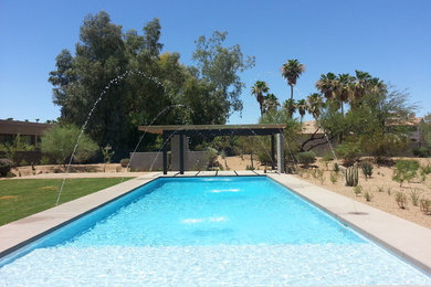 Modelo de piscina natural actual extra grande rectangular en patio trasero con entablado