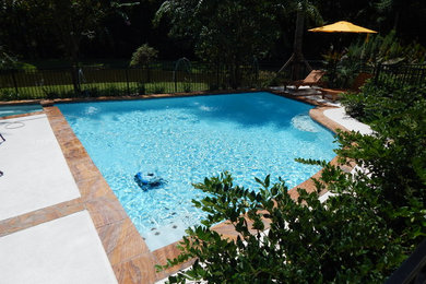 Ispirazione per una grande piscina monocorsia moderna dietro casa con lastre di cemento e una vasca idromassaggio