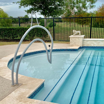Dolphin Pool Handrail