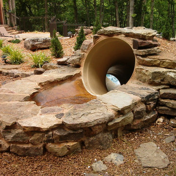 Doug B. Natural Swimming Pool Project