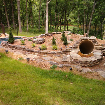 Doug B. Natural Swimming Pool Project