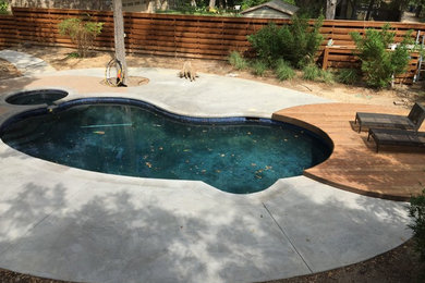 Mid-sized minimalist backyard kidney-shaped natural pool photo in Dallas with decking