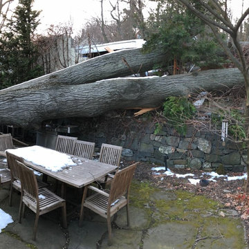 Effects of Destructive Storm in Hastings-On-Hudson, NY