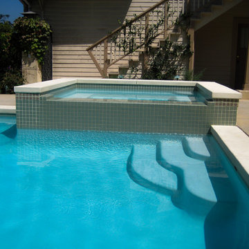 Elegant Backyard | Lap Pool and Spa