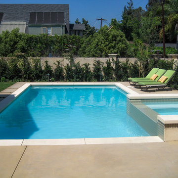 Elegant Backyard | Lap Pool and Spa