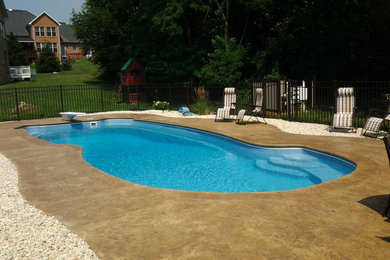 Diseño de piscina natural clásica de tamaño medio a medida en patio trasero con suelo de hormigón estampado