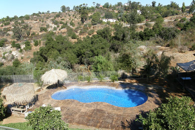 Backyard stone and custom-shaped pool photo in Other