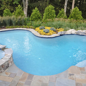 Free-form In Ground Pool