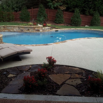 free form pool and patio