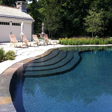 free form swimming pool with perimeter overflow + sun benches