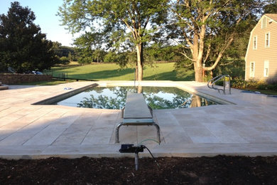 Example of a mid-sized trendy backyard stone and custom-shaped pool design in Other