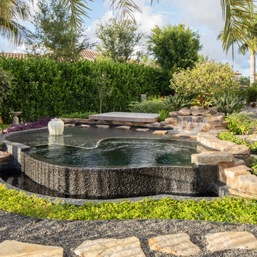 Freeform Plunge Pool in Delray Beach