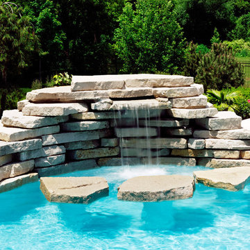 Freeform pool and spa in Arlington Heights