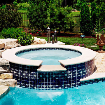 Freeform pool and spa in Arlington Heights